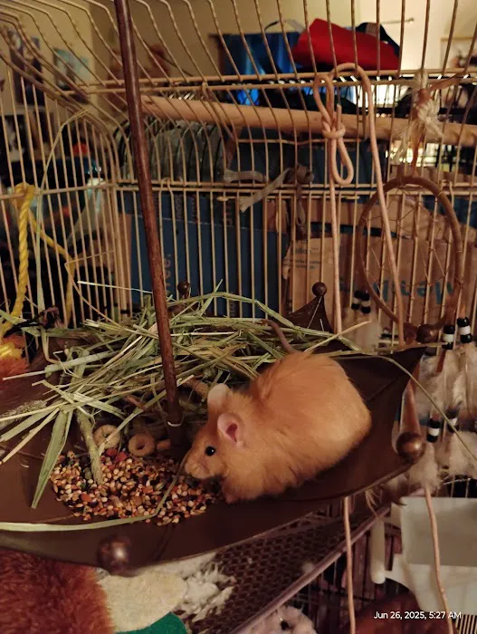 Trinity Pet Picture 9