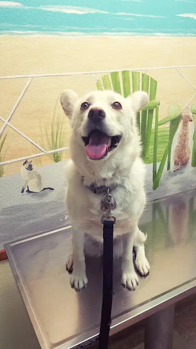 Sunnymead Animal Hospital Picture 2