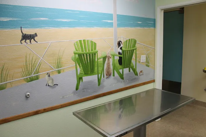 Sunnymead Animal Hospital Picture 9