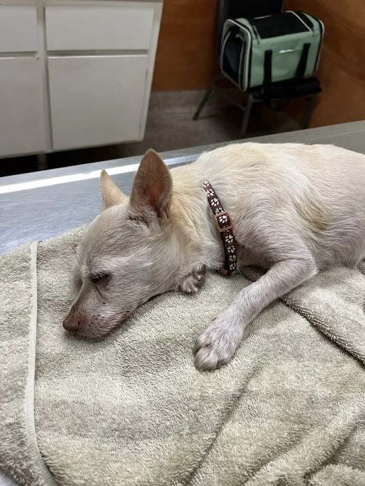 Sunnymead Animal Hospital Picture 7