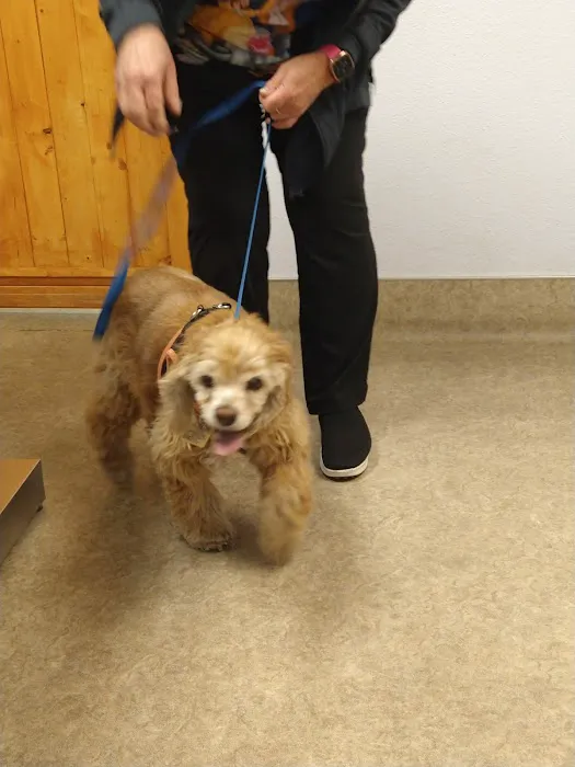 Sunnymead Animal Hospital Picture 3