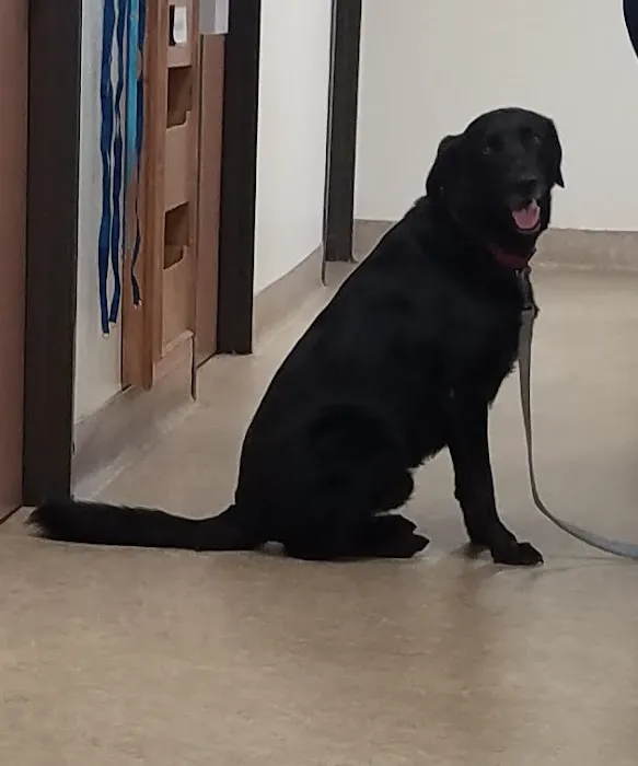 Sunnymead Animal Hospital Picture 8