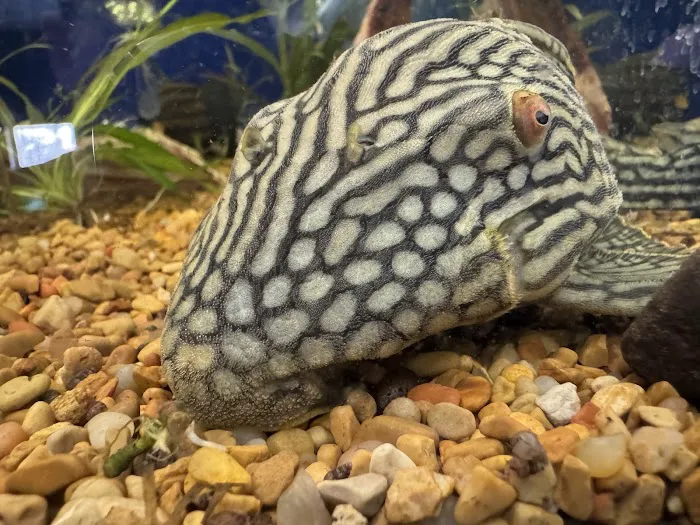 Riverside Reef Aquatics LLC Picture 5