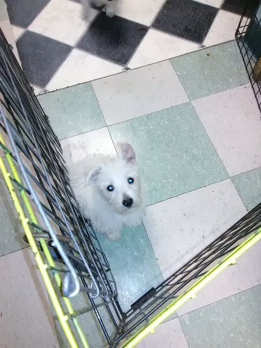 Critter Place LLC Picture 4
