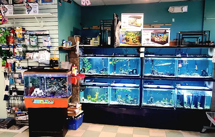 Critter Place LLC Picture 3
