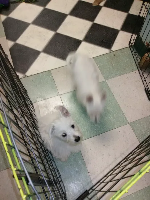 Critter Place LLC Picture 7