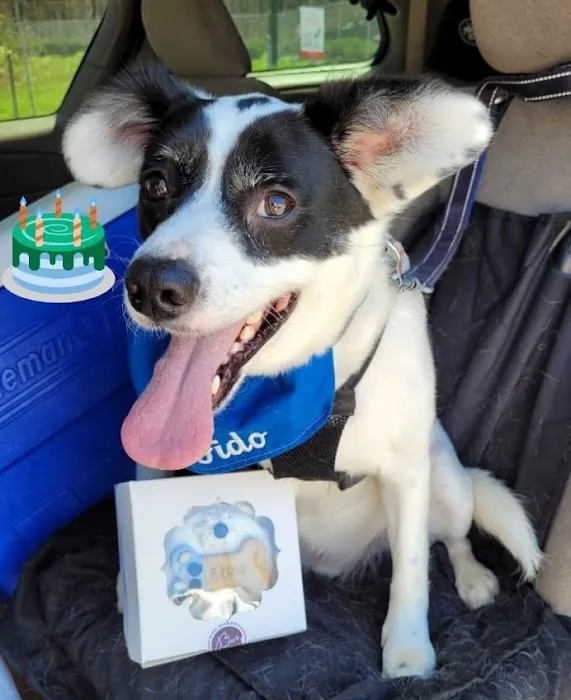 Bark N’ Bites Dog Bakery Picture 6