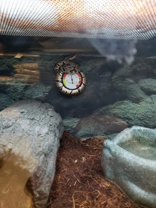 Petco Picture 5