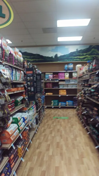 Petco Picture 6