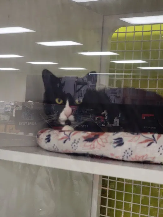 Petco Picture 10