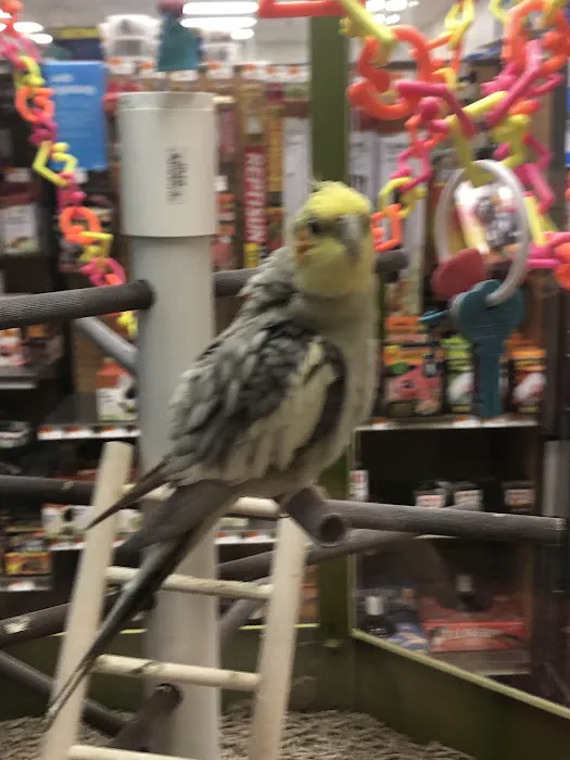 Petco Picture 4