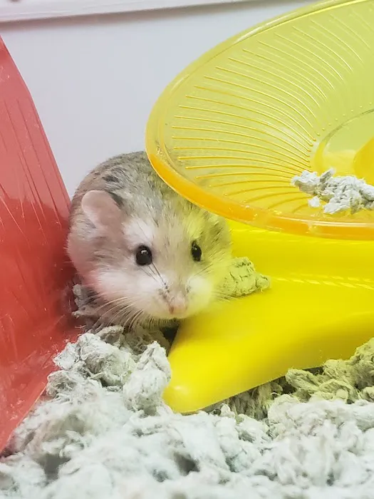 Petco Picture 2