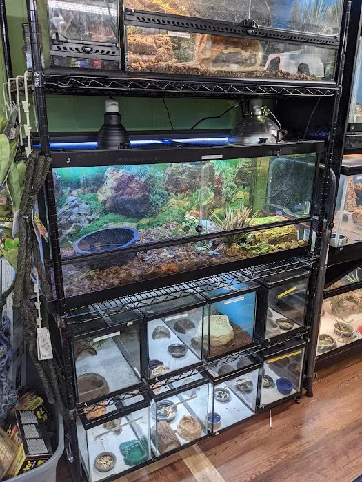 Reptile Roadhouse Picture 7