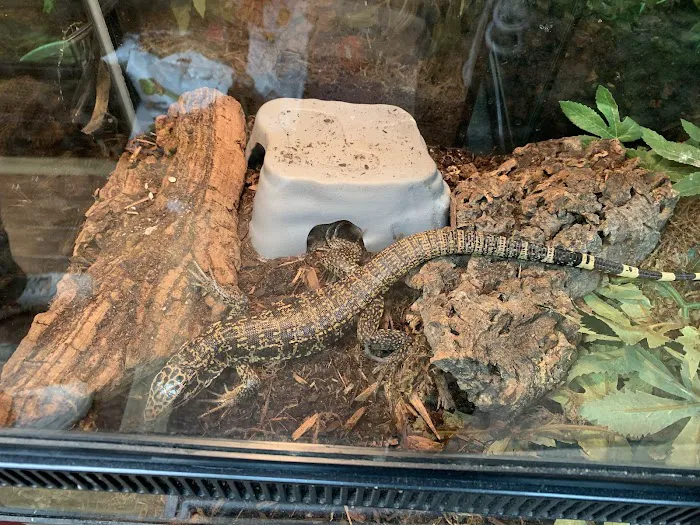 Reptile Roadhouse Picture 6