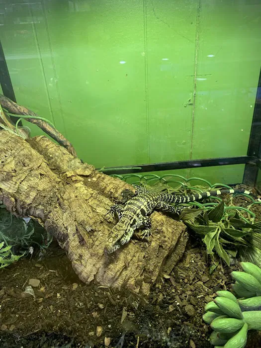 Reptile Roadhouse Picture 5