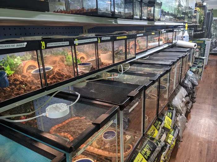 Reptile Roadhouse Picture 9
