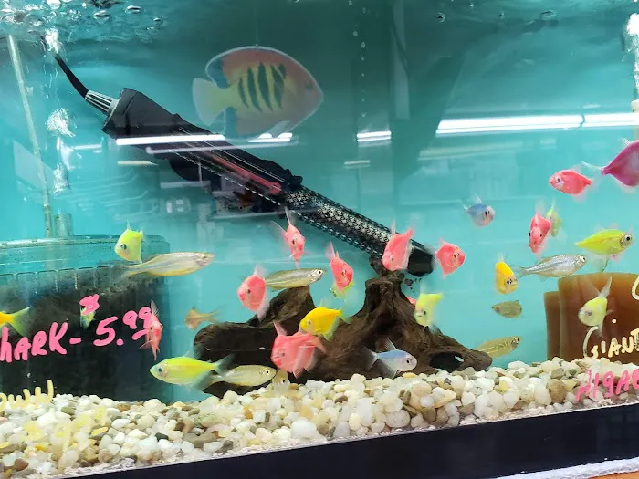 Aquariums By JJ Picture 5