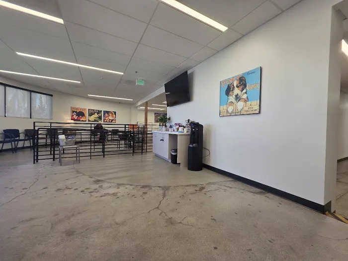 Redlands Animal Hospital, Inc. Picture 9