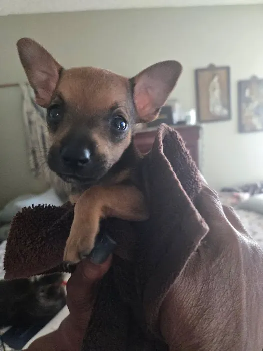 Vetco Total Care Animal Hospital Picture 8