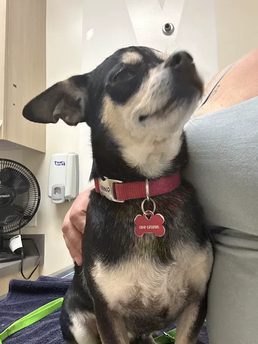Vetco Total Care Animal Hospital Picture 4