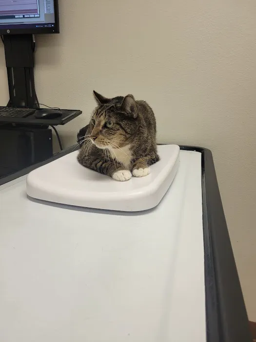 Ala-Palm Animal Hospital Picture 4