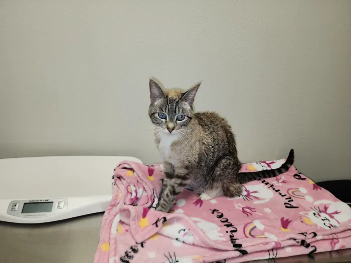 Ala-Palm Animal Hospital Picture 10