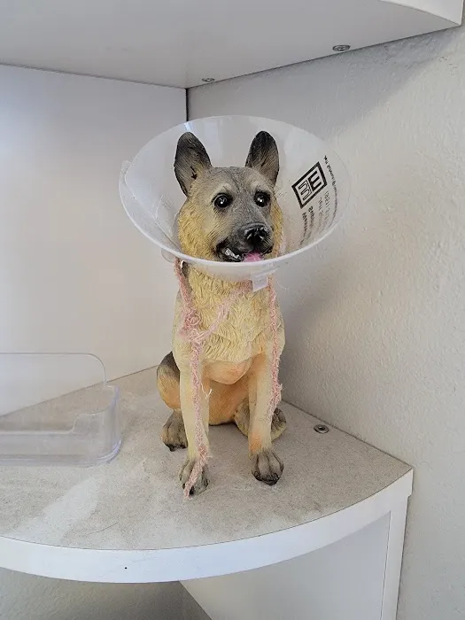 Ala-Palm Animal Hospital Picture 2