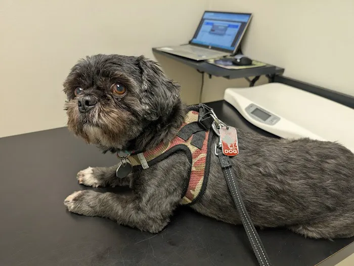 Ala-Palm Animal Hospital Picture 3