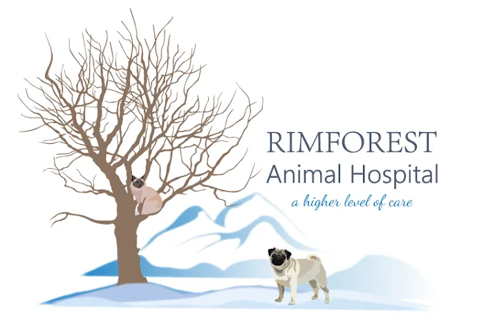 Rimforest Animal Hospital Picture 10