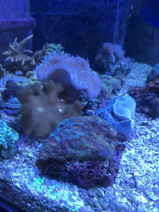 Capital Aquarium Picture 5