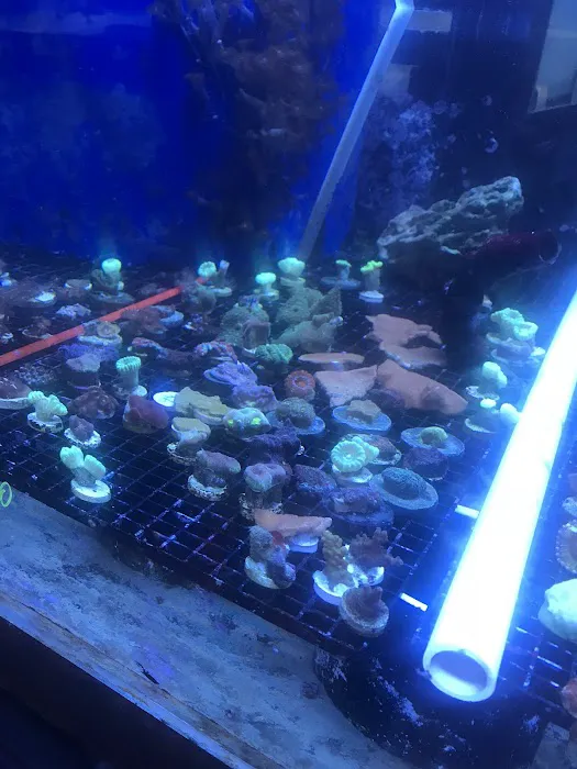 Capital Aquarium Picture 2