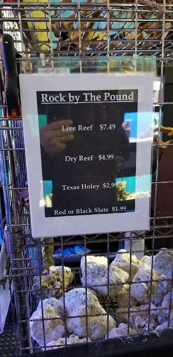 Capital Aquarium Picture 7