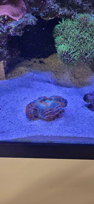 Capital Aquarium Picture 8