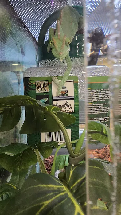 Petco Picture 5