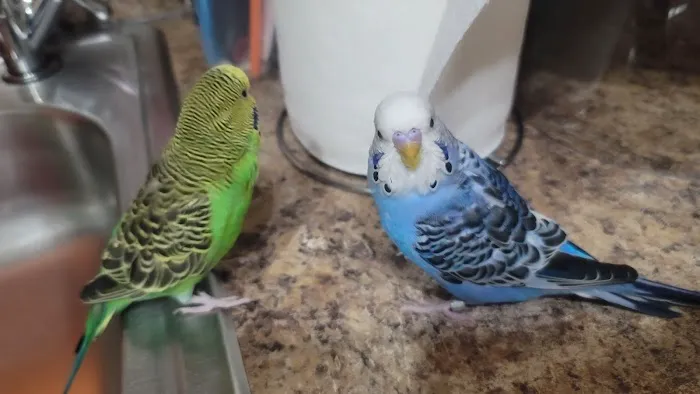Petco Picture 10