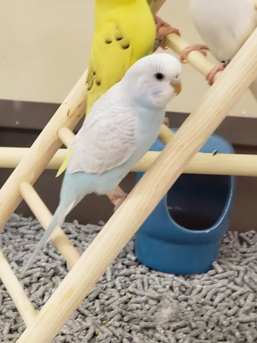 Petco Picture 4