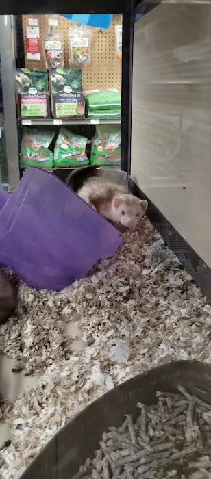 Petco Picture 8
