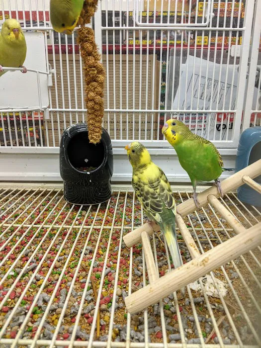 Petco Picture 10
