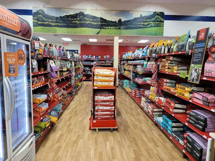 Petco Picture 1
