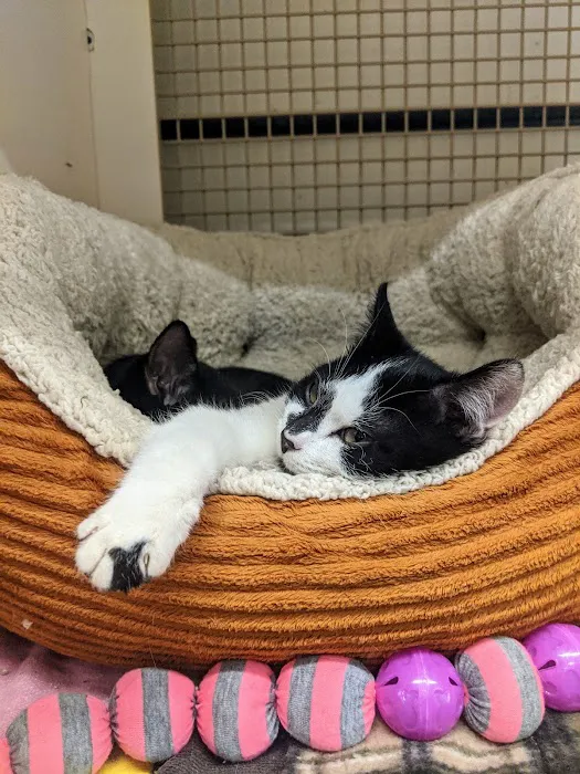 Petco Picture 7