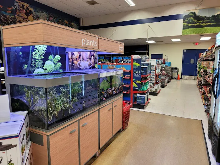Petco Picture 5