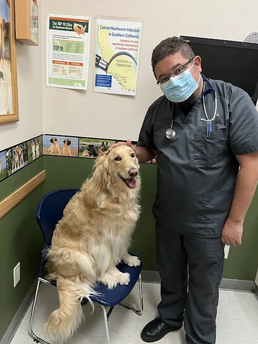 Highland Village Pet Hospital Picture 1
