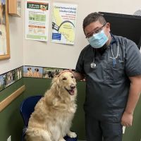 Highland Village Pet Hospital ico