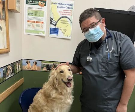 Highland Village Pet Hospital