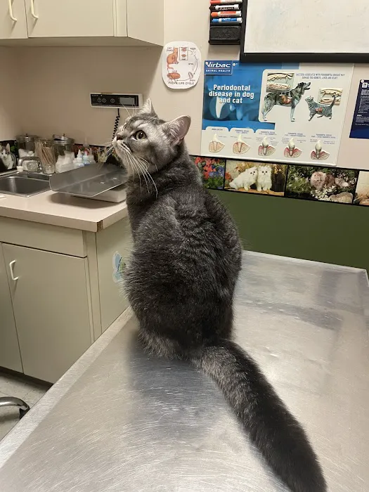 Highland Village Pet Hospital Picture 9