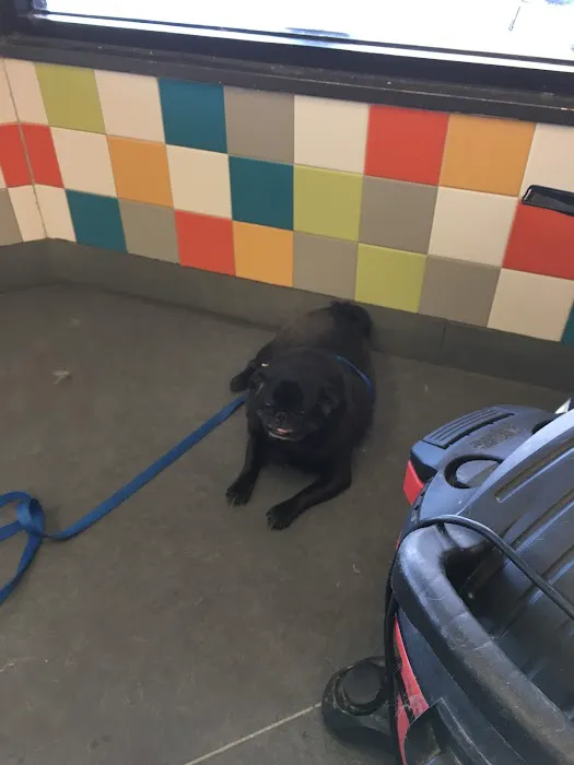 Unleashed by Petco Picture 10