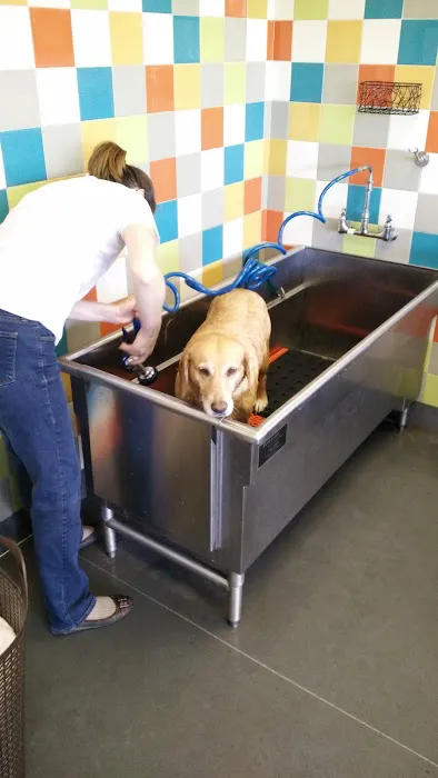 Unleashed by Petco Picture 8