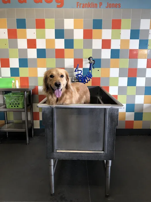 Unleashed by Petco Picture 1