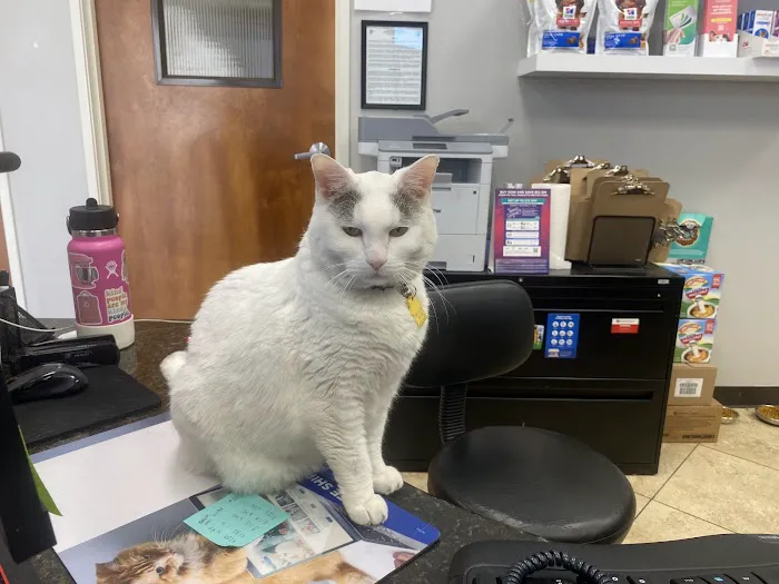 East Valley Pet Hospital Picture 8