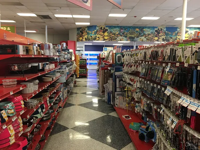 Petco Picture 1